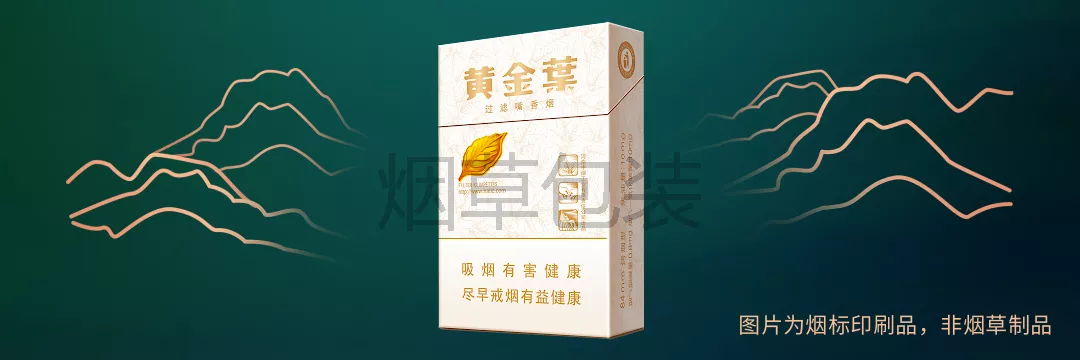 黄金叶（小天叶）