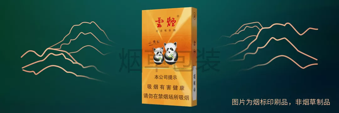 云烟（盛世小熊猫）