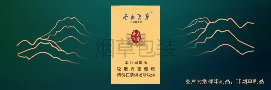 冬虫夏草（金细）