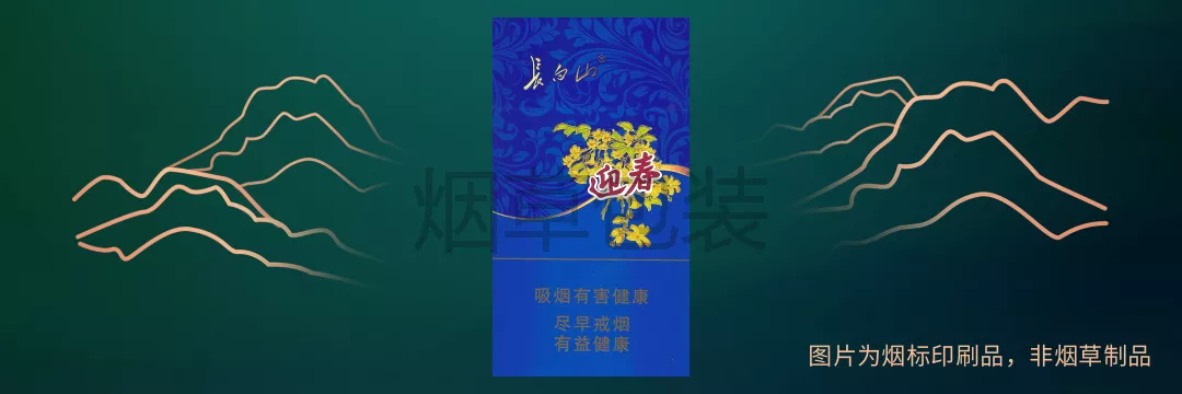 长白山（迎春）