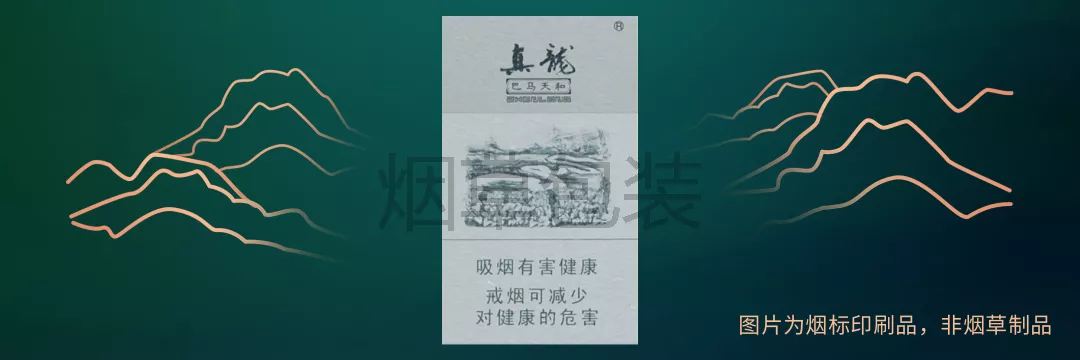 真龙（巴马天和）