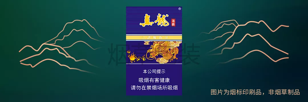 真龙（海韵）