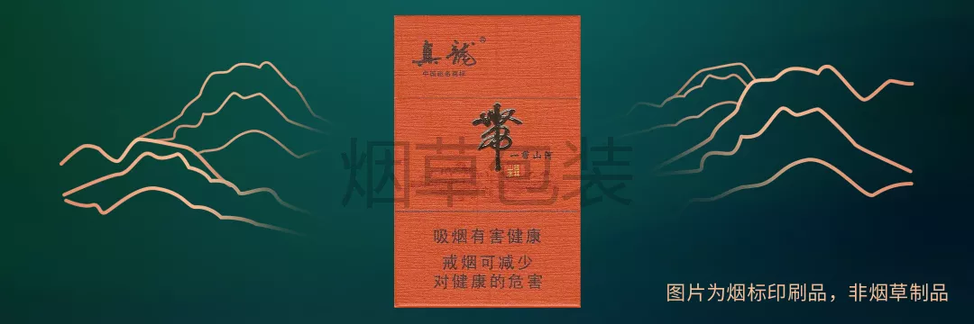 真龙（一带山河）