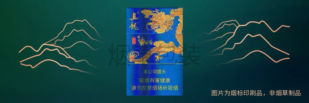 真龙（海纳百川）