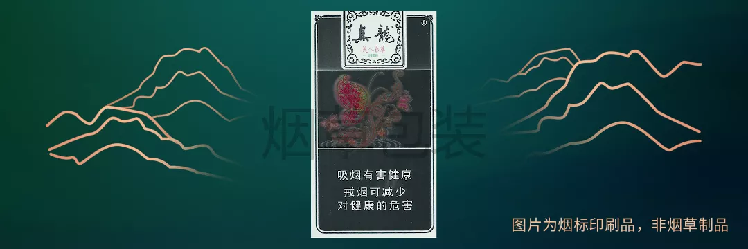 真龙（美人香草）-镜面版
