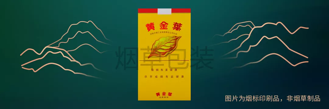 黄金叶（大金圆）