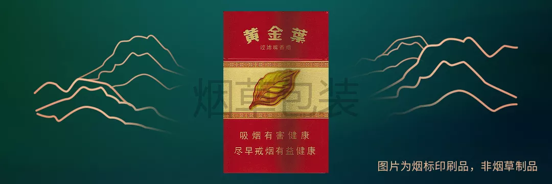 黄金叶（鸿运）