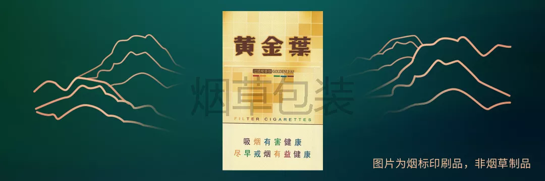 黄金叶（金尚酷）
