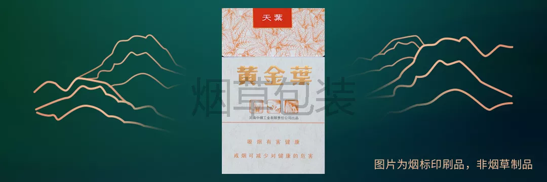 黄金叶（天叶）