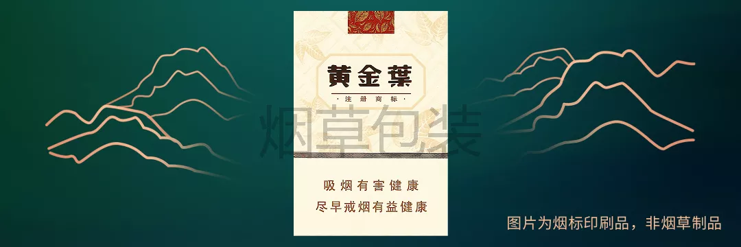 黄金叶（天韵）