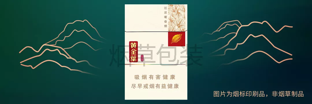 黄金叶（小黄金）