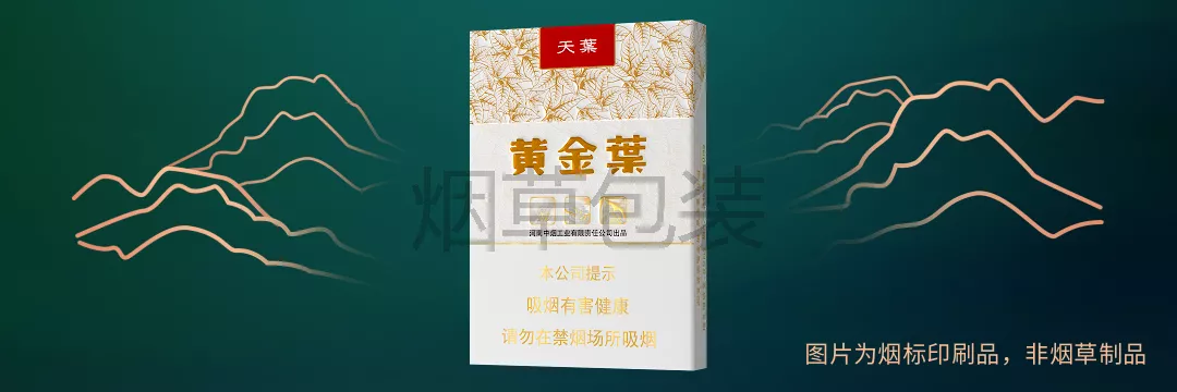 黄金叶（天叶中支）