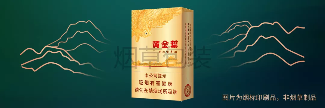 黄金叶（金硬）