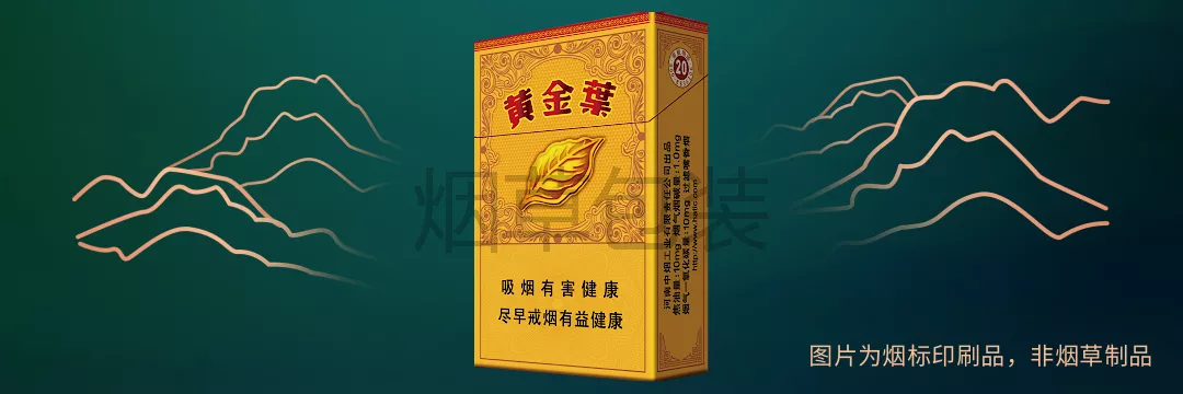 黄金叶（流金岁月）